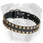 High Quality Studded Leather Dog Collar for English Bulldog