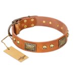 "Saucy Nature" FDT Artisan Tan Leather English Bulldog Collar with Old Bronze Look Plates and Skulls