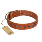 "Star Trek" FDT Artisan Tan Leather English Bulldog Collar Decorated with Stars