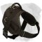 Practical Nylon English Bulldog Harness for Any Weather