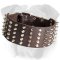 Wonderful Leather Collar for English Bulldog