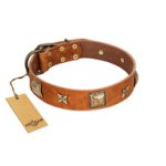 "Celtic Tunes" FDT Artisan Tan Leather English Bulldog Collar Adorned with Stars and Squares
