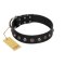 "Black Knight" Handmade FDT Artisan Black Leather English Bulldog Collar with Silver-Like Studs
