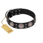 "Starry Sky" Trendy FDT Artisan Black Leather English Bulldog Collar with Large Brooches