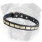 Special Leather English Bulldog Collar With Plates