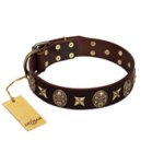 "Captain Hook" FDT Artisan Brown Leather English Bulldog Collar with Stars and Skulls
