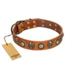 "Golden Epoch" FDT Artisan Tan Leather English Bulldog Collar with Old Bronze-plated Medallions and Conchos
