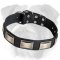 Gorgeous Plated Leather English Bulldog Collar