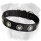 Strong Nylon English Bulldog Collar with Silver Conchos