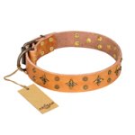'Top-Flight' FDT Artisan Adorned Tan Leather English Bulldog Collar