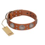"Far Star" FDT Artisan Tan Leather English Bulldog Collar with Engraved Studs