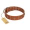"Dreamy Gleam" FDT Artisan Tan Leather English Bulldog Collar Adorned with Stars and Squares