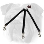 Stitched Triple English Bulldog Leash for Walking 3 Dogs in Any Weather Condition
