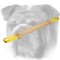 Pro Jute English Bulldog Bite Tug for Young Dog Training