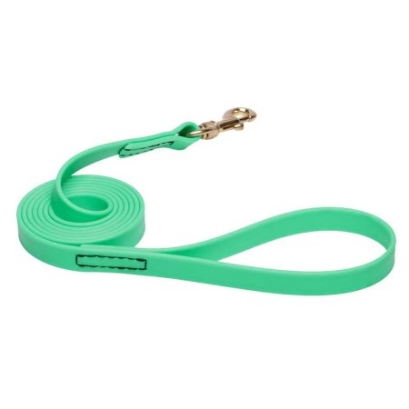 Green Waterproof English Bulldog Leash Made of Biothane