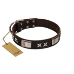 "Satin Beauts" FDT Artisan Brown Leather English Bulldog Collar with Stars and Plates