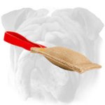 First-Rate Jute English Bulldog Tug for Puppy Bite Training