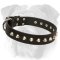 Super Strong Leather English Bulldog Collar Adorned with Nickel Pyramids