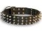English Bulldog Leather dog collar with 3 spikes 3 old brass pyramids