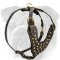 Brass Studded Walking Dog Harness for English Bulldog