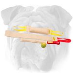 English Bulldog Set of 3 Jute Bite Tugs + Rubber Sound Toy