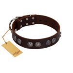 "King Arthur" FDT Artisan Brown Leather English Bulldog Collar with Spiky Plates