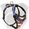 Fashion American Flag Leather Harness for English Bulldog