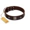 "Cold Star" Designer FDT Artisan Brown Leather English Bulldog Collar with Silver-Like Adornments