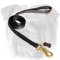 Any Weather and Any Occasion Nylon Leash for English Bulldog