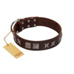 "Needle Stories" Modern FDT Artisan Brown Leather English Bulldog Collar with Square Engraved Plates and Four-Point Stars