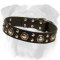 "Endless Admiration" English Bulldog Collar with Nickel Conchos and Studs