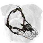 Wire Basket Dog Muzzle for English Bulldog