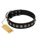 "Black Eagle" Handcrafted FDT Artisan Black Leather English Bulldog Collar with Silver-Like Adornments