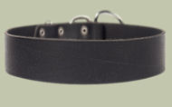 2 inch wide All Weather Leather Collar for English Bulldog 2 inch wide All Weather Leather Collar for English Bulldog
