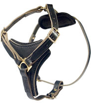 2-ply Latigo Leather Harness for English Bulldog 2-ply Latigo Leather Harness for English Bulldog