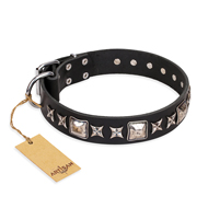 'Space Walk' FDT Artisan Black Leather English Bulldog Collar with Adornments