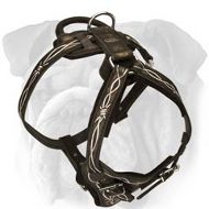 Fashion Hand Painted Leather Harness for English Bulldog