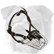 Wire Basket English Bulldog Muzzle with Leather Straps