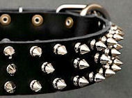 Canine Deluxe Spiked Leather Dog Collar for English Bulldog Canine Deluxe Spiked Leather Dog Collar for English Bulldog