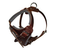 Comfort Padded Dog Harness for English Bulldog Comfort Padded Dog Harness for English Bulldog