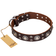 'Age of Beauty' FDT Artisan Incredible Studded Brown Leather English Bulldog Collar