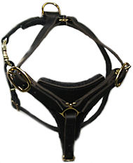 ENGLISH BULLDOG Dog Walking Harness H3 ENGLISH BULLDOG Dog Walking Harness H3