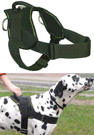 Best Dog Training Harness for ENGLISH BULLDOG Best Dog Training Harness for ENGLISH BULLDOG