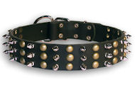 Studded Black collar 27'' for Bulldog /27 inch dog collar-S59