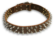 English Bulldog Spiked Brown collar 21''/21 inch dog collar
