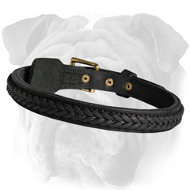 English Bulldog Braided 2 Ply Leather Collar