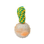 English Bulldog Rubber Ball on a String 2 inch - Hollow Inside - TT4