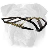 Fantastic Pulling Nylon Dog Harness for English Bulldog Breed