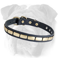 Special Leather English Bulldog Collar With Plates