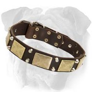 Gorgeous War Leather English Bulldog Collar with Studs and Plates